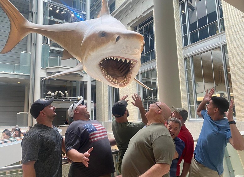 Picture 2 for Activity DC: Smithsonian Highlights Walking Tour with Air and Space 2