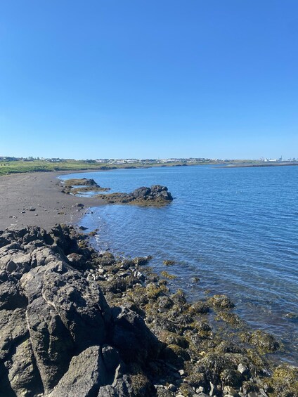 Picture 5 for Activity Reykjavik: EBike Tour of Nature, Coast, and City 5