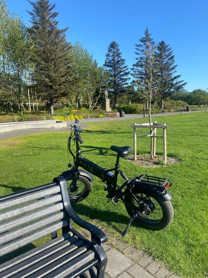 Picture 3 for Activity Reykjavik: EBike Tour of Nature, Coast, and City 3