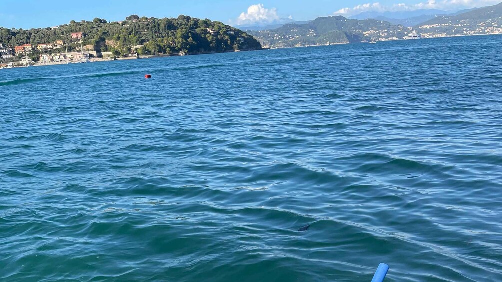 Picture 25 for Activity La Spezia: Portovenere Sunset or Lunch Boat Tour Local food 2