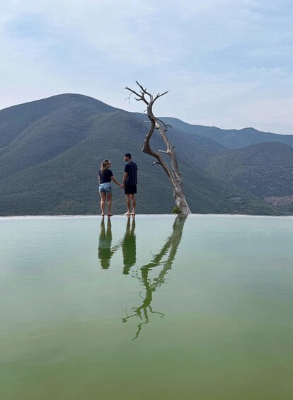 Two people holding hands on a reflective water surface with a dead tree in the foreground and mountains in the background. 1