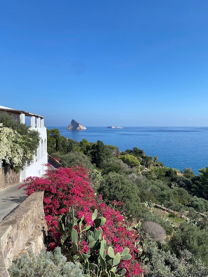 A coastal landscape with a white building, vibrant pink bougainvillea, and a clear blue sea. 3