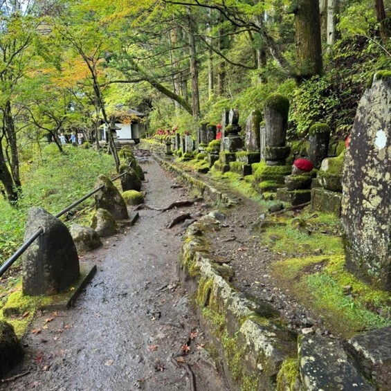 A forested cemetery with moss-covered gravestones and a winding path. 5