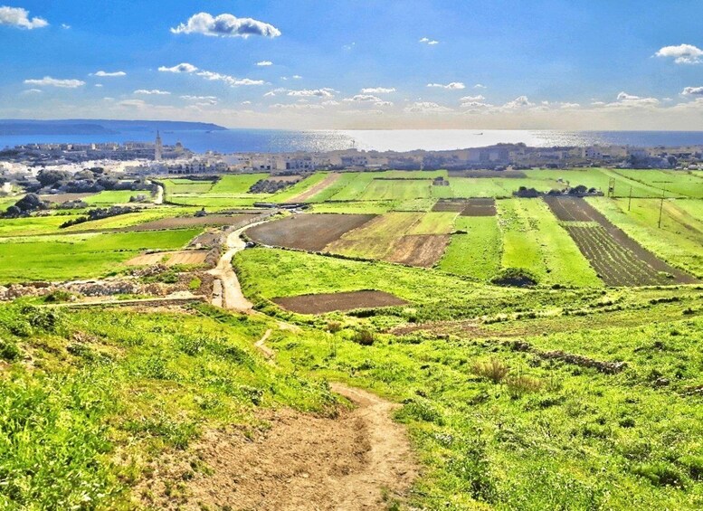 A rural landscape with terraced fields, a winding road, and a distant city skyline. 2