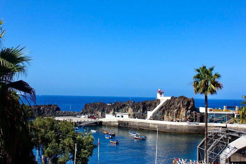 Madeira: Half-Day 4x4 Highlights Tour for Cruise Passengers 1