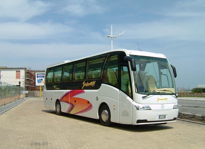 Picture 8 for Activity Departure from Catania: Mount Etna tour by open bus and honey tasting 3