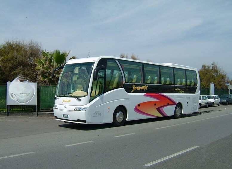 Picture 9 for Activity Departure from Catania: Mount Etna tour by open bus and honey tasting 2
