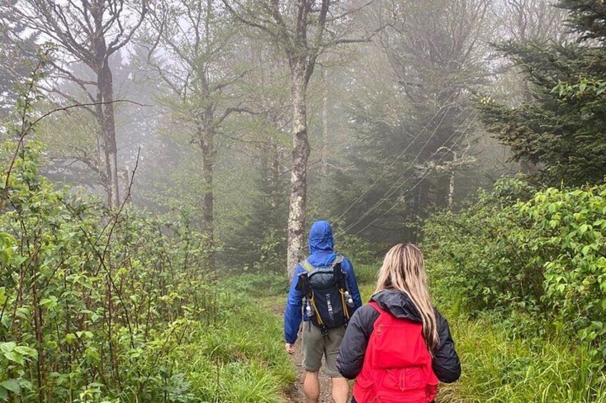 Two people hiking in a forested area with dense vegetation and a misty atmosphere. 2