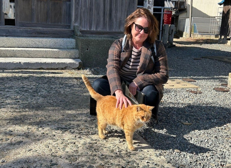 A person sitting on a bench with a cat on the ground. 1