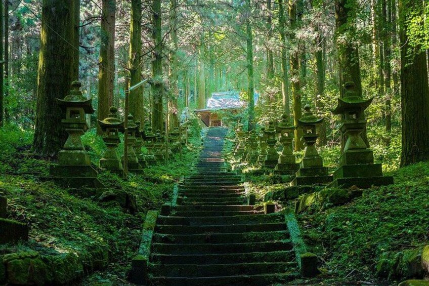 Kyushu Day Tour to Takachiho Gorge, Kamishikimi Kumanoza & Shrine 4
