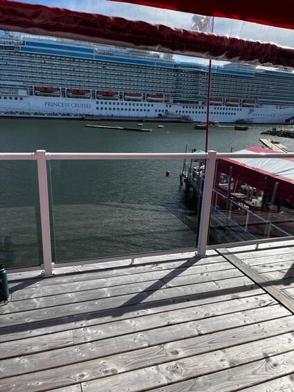 A cruise ship named PRINCESS CRUISES docked at a port. 2