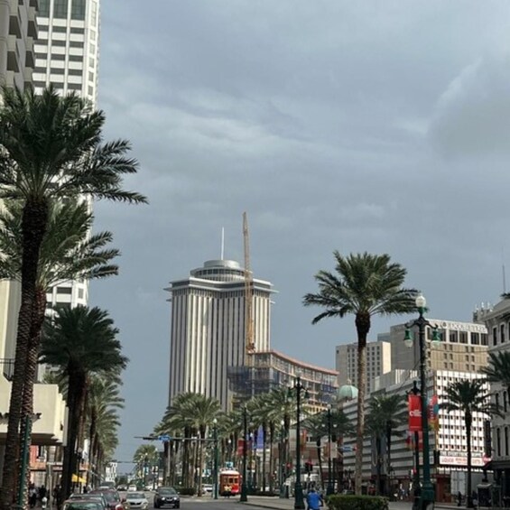 A city street lined with palm trees and tall buildings, including a distinctive cylindrical skyscraper. 1