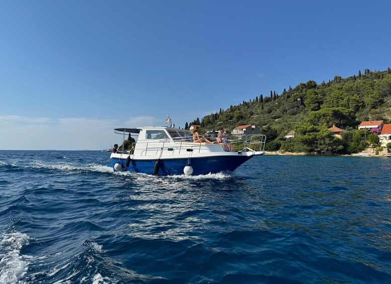 A blue and white boat with people on it, moving through the water near a coastline with houses and trees. 3