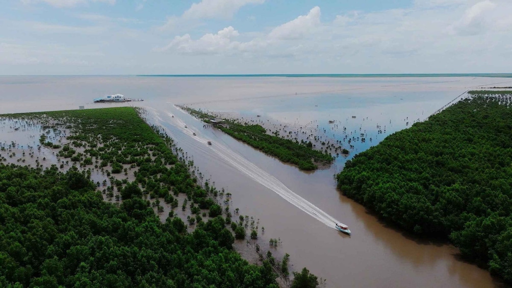 Picture 1 for Activity Ca Mau: Mangrove Forest Canoe Tour 3