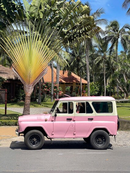 A pink car parked on a street with palm trees and a building in the background. 3