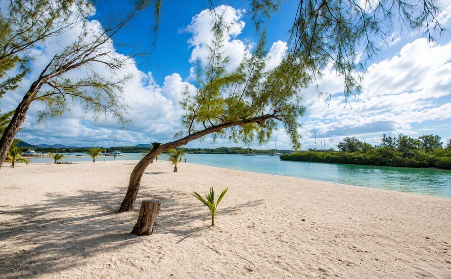 Picture 3 for Activity Mauritius: Ile aux Cerfs Catamaran Lagoon Experience + BBQ 5