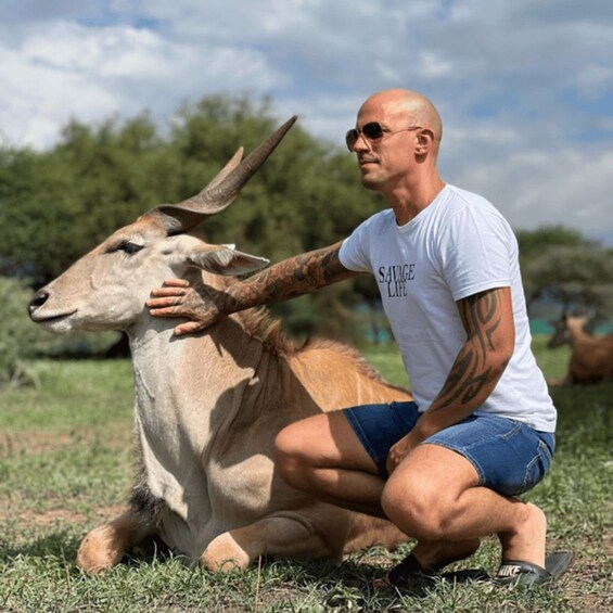 A man in a white t-shirt and denim shorts kneeling beside a light brown goat with large horns in a grassy field. 4