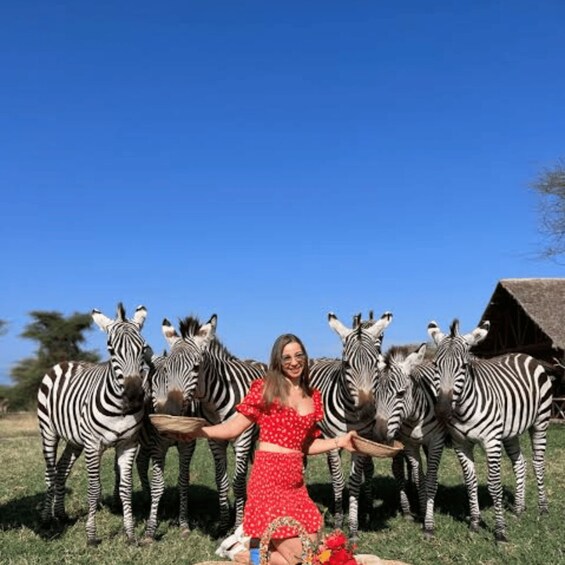 A person in a red dress standing between zebras in a grassy field with a thatched-roof structure in the background. 5