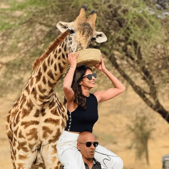 A person riding a giraffe, another person holding a basket, and a dry landscape with sparse trees. 3