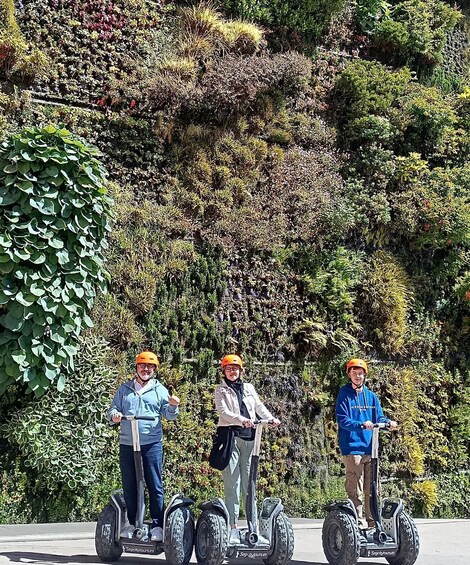 Picture 9 for Activity Madrid: Private Segway Tour Retiro Park for 1, 1.5 or 2 hrs. 5