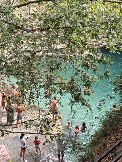 A group of people swimming in a natural pool surrounded by trees. 1