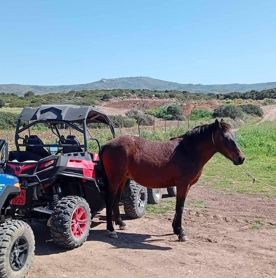 A horse standing next to a red and black ATV in a rural landscape with hills in the background. 4