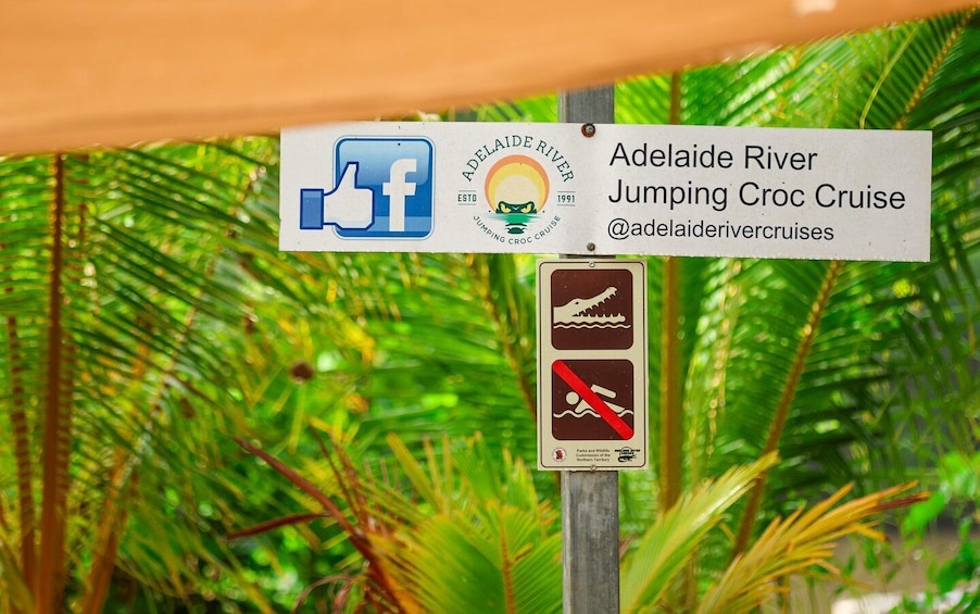 Picture 3 for Activity Darwin: Adelaide River Cruises, Jumping Crocodile Experience 3
