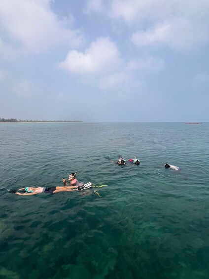 People snorkeling in clear blue water with a distant shoreline and a boat in the background. 5