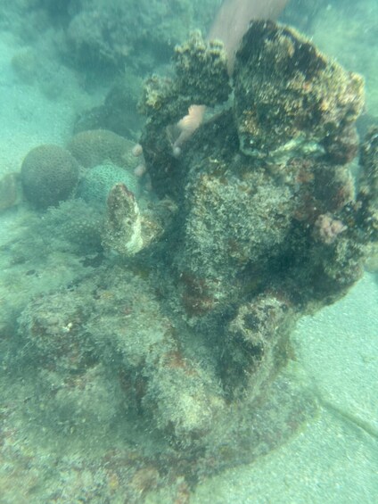 An underwater scene with coral formations and a large rock. 2