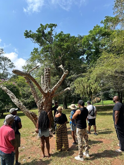 Picture 2 for Activity Full Day Tour: Aburi Botanical Gardens, ATV, & Waterfalls 2