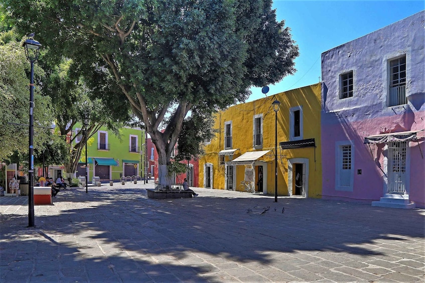 Picture 11 for Activity Puebla: Hop-on Hop-off City Tour and Observation Wheel 4