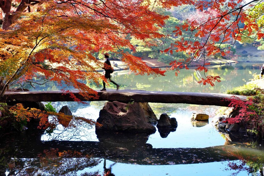 A serene autumn scene with a bridge over a calm pond, surrounded by vibrant red foliage. 5