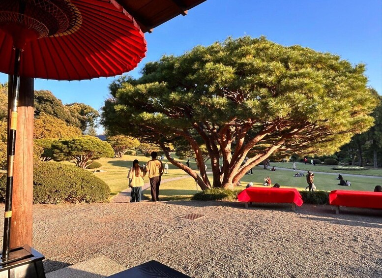 A park with a large tree, red umbrellas, and people walking. 1