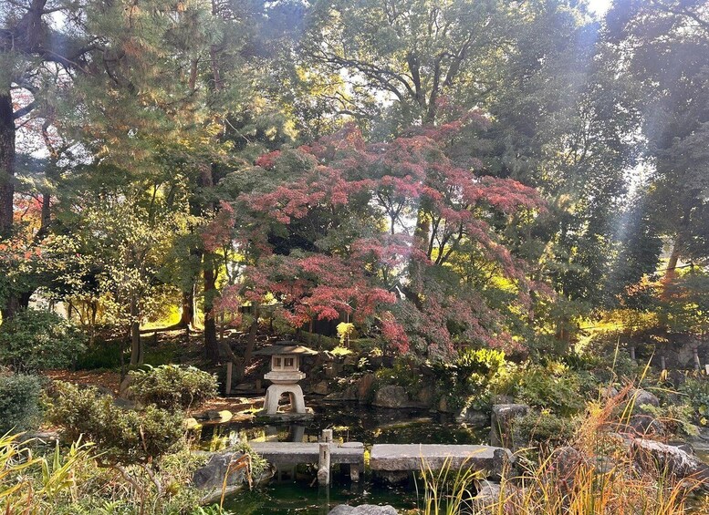 A serene garden with a pond, a stone bridge, and a pagoda-like structure amidst lush trees and foliage. 4