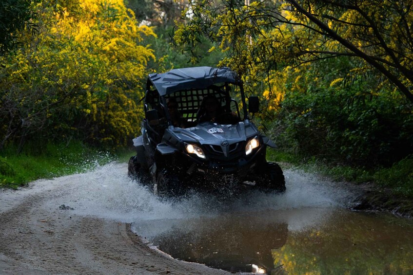 Lisbon Buggy Adventure: Hidden Trails, Cliffs & Coastline 1