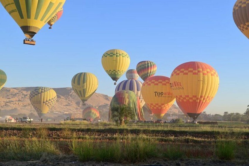 A field of hot air balloons with various patterns and colors, set against a backdrop of a clear sky and distant mountains. 4