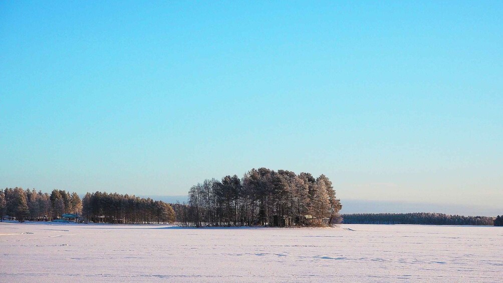 A snow-covered field with a cluster of trees in the center. 4