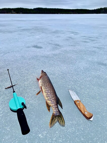 A fishing rod, a fish, and a knife on a frozen lake. 2