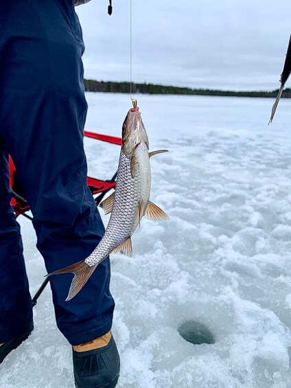 A person holding a fish with a fishing rod. 3