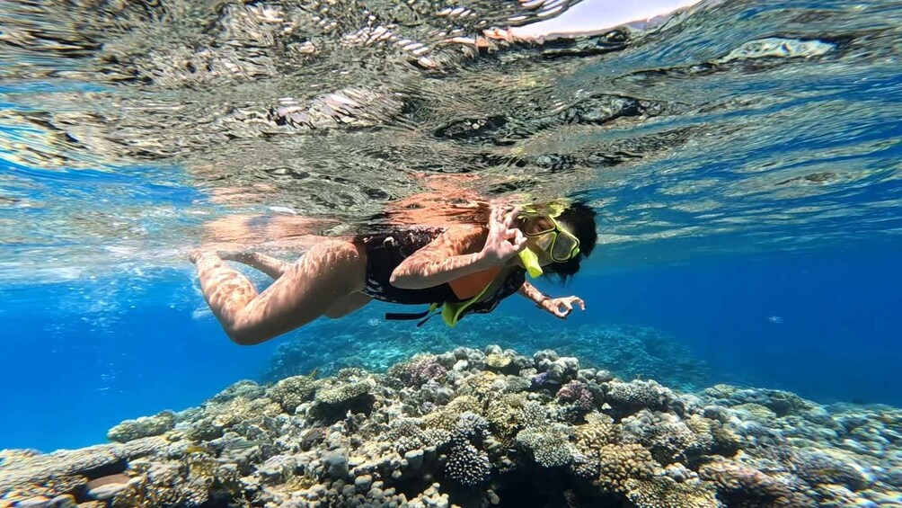 A person snorkeling underwater with a coral reef in the background. 4