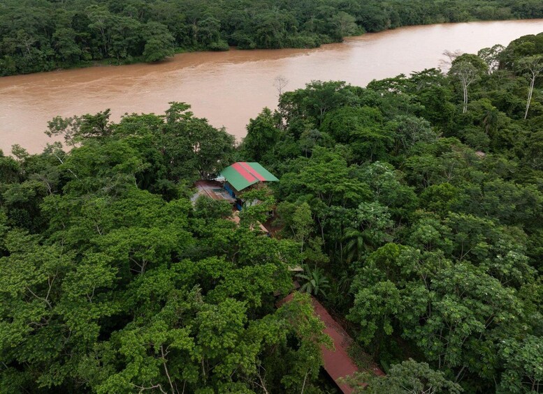 A river winding through a dense forest with a small structure featuring a green and red roof. 4