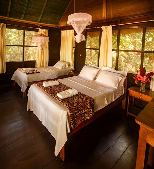 A wooden room with two beds, a hanging chair, and a window with curtains. 2