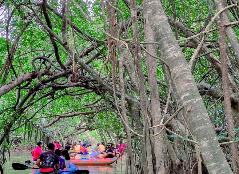 A group of people kayaking through a mangrove forest. 2