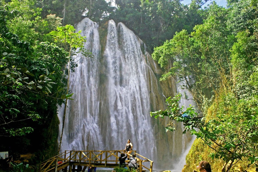 Une cascade entourée d’une végétation luxuriante. 3