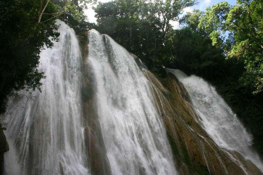 Une cascade d’eau se précipite le long d’une falaise rocheuse, entourée d’un feuillage verdoyant et luxuriant. 4
