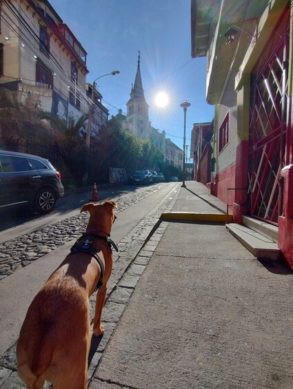 Valparaiso: Tour,elevator,open sky gallery,historical Center 2