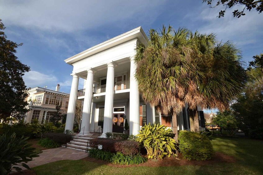 A white building with columns and a large palm tree in the foreground. 4