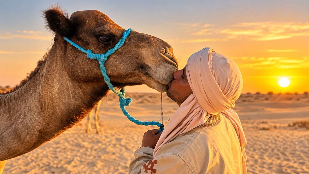 A camel with a blue rope halter and a person wearing a white garment and headscarf. 1