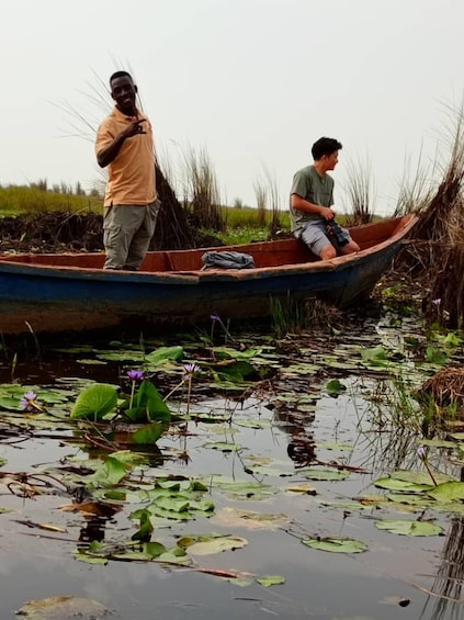 Picture 6 for Activity Entebbe: Mabamba Swamp Shoebill Tracking Boat Tour 4