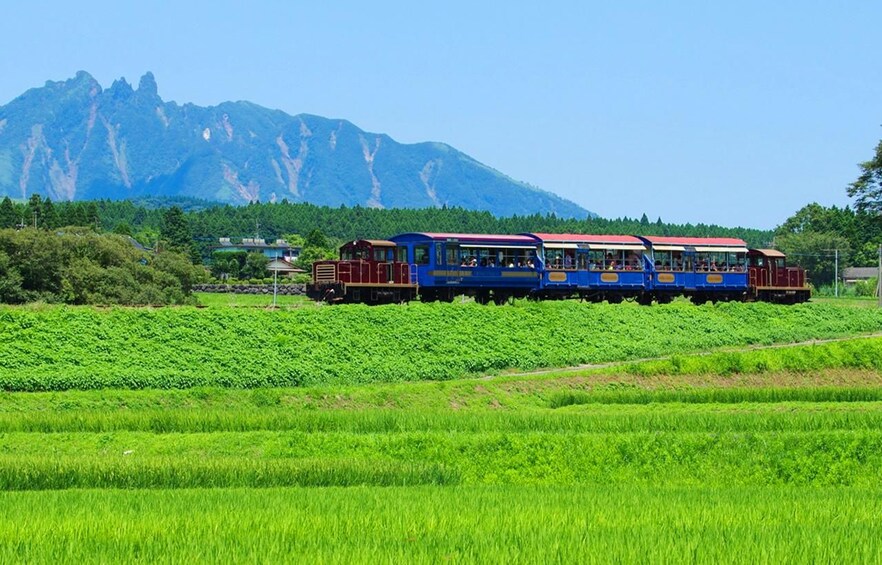 Picture 6 for Activity Fukuoka: Southern Aso Railway,Kumamoto Castle,Mount Aso Trip 3